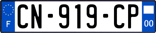 CN-919-CP