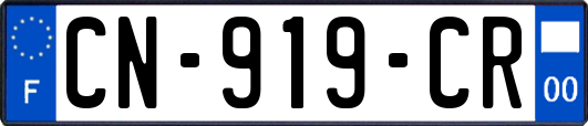 CN-919-CR