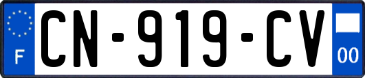CN-919-CV
