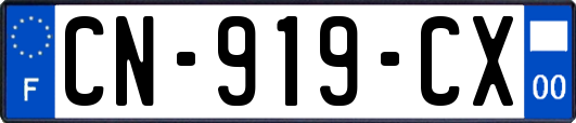 CN-919-CX