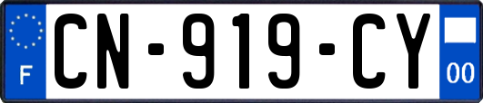 CN-919-CY