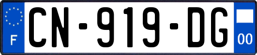 CN-919-DG