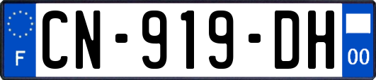 CN-919-DH