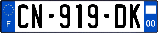 CN-919-DK