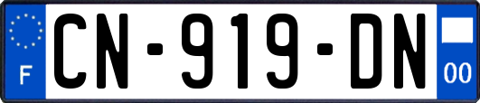 CN-919-DN