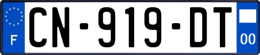 CN-919-DT