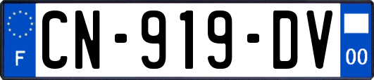 CN-919-DV