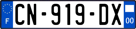 CN-919-DX