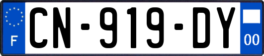CN-919-DY