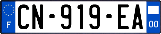 CN-919-EA