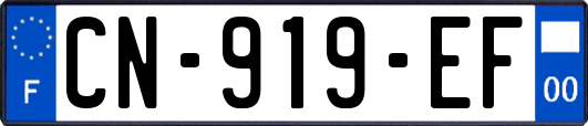 CN-919-EF