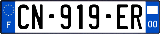 CN-919-ER