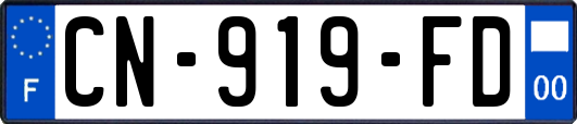 CN-919-FD