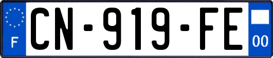 CN-919-FE