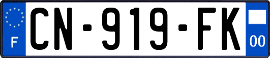 CN-919-FK