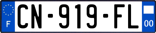 CN-919-FL