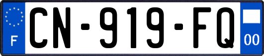CN-919-FQ