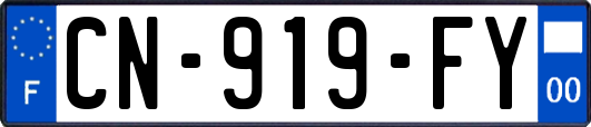 CN-919-FY