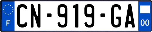 CN-919-GA