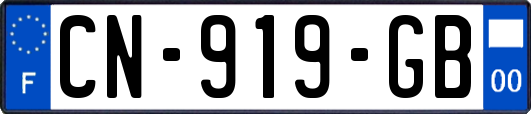 CN-919-GB