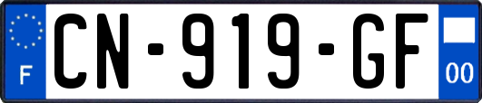 CN-919-GF