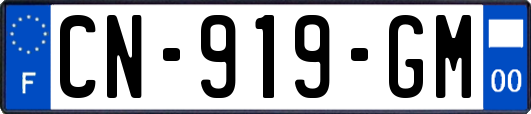 CN-919-GM