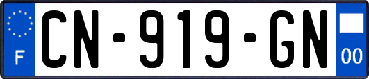 CN-919-GN