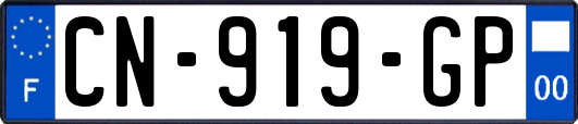 CN-919-GP