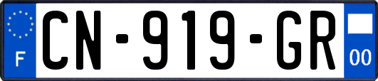 CN-919-GR
