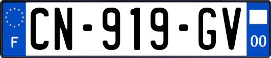 CN-919-GV