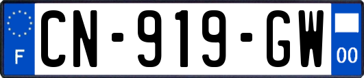 CN-919-GW