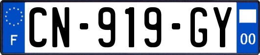 CN-919-GY