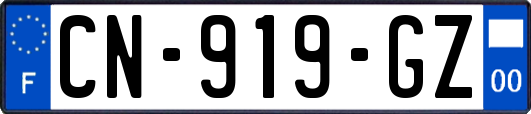 CN-919-GZ