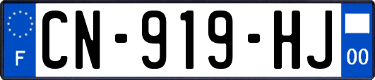 CN-919-HJ