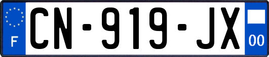 CN-919-JX