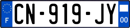 CN-919-JY