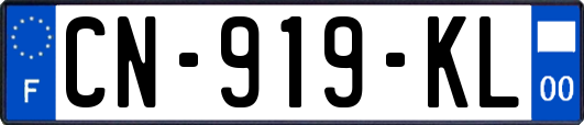 CN-919-KL