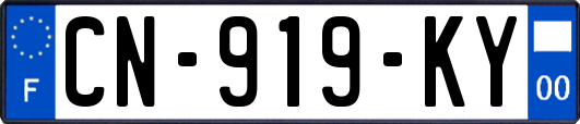 CN-919-KY