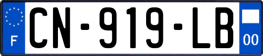 CN-919-LB