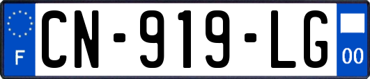 CN-919-LG