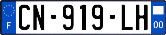 CN-919-LH