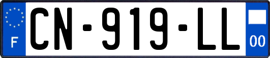 CN-919-LL