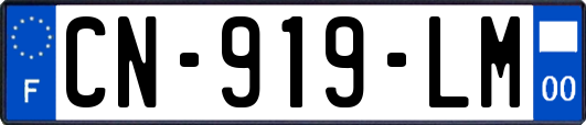CN-919-LM