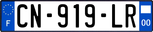 CN-919-LR