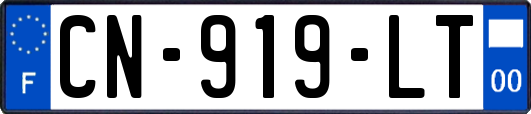 CN-919-LT