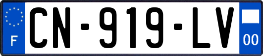 CN-919-LV