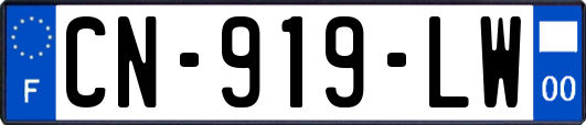 CN-919-LW