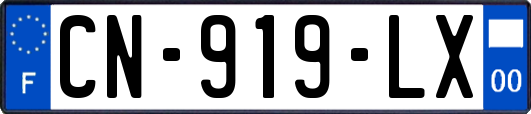 CN-919-LX