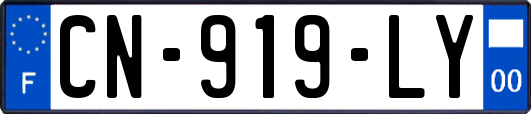 CN-919-LY