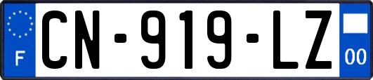 CN-919-LZ